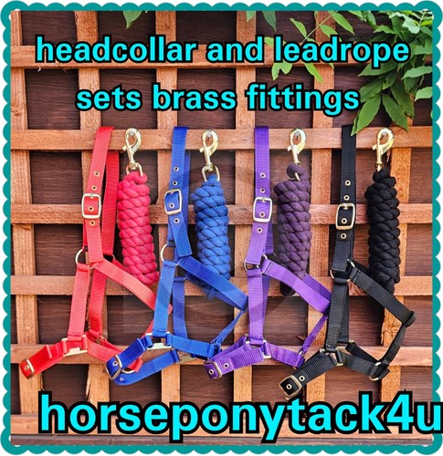 New headcollar and leadrope - headcollar,