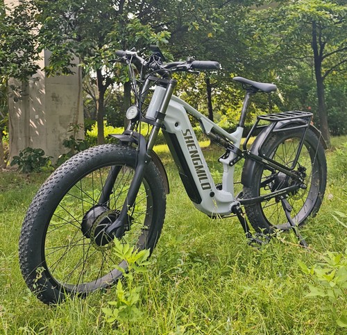 48v 25ah dual - 25ah, motor