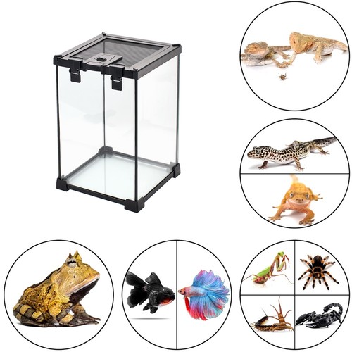 Small reptile glass - glass, terrarium