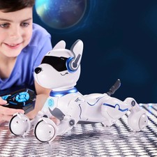 Ziggy the Robo Dog Bark &
