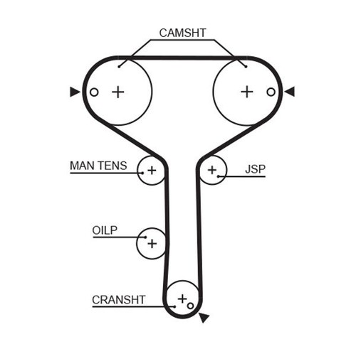 Gates timing belt cambelt - cambelt, 155