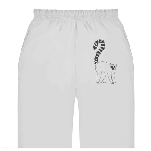 Ring tailed lemur adult - lemur',