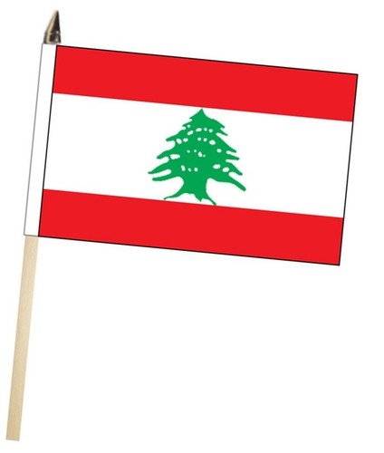 Lebanon large hand - large, with