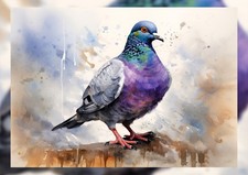 Vibrant Urban Pigeon