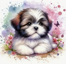 Cute Puppy Shitzu Diamond Art