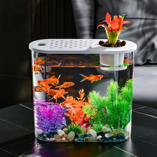 Aquaponic planter aquarium - aquaponic,