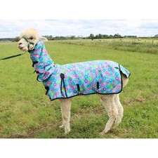 Ruggles Alpaca Mac - Rug