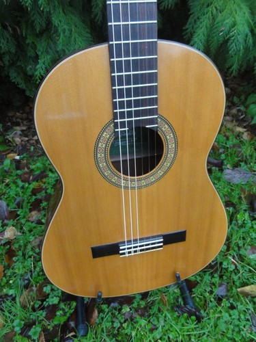 Vintage takeharu classical - vintage,
