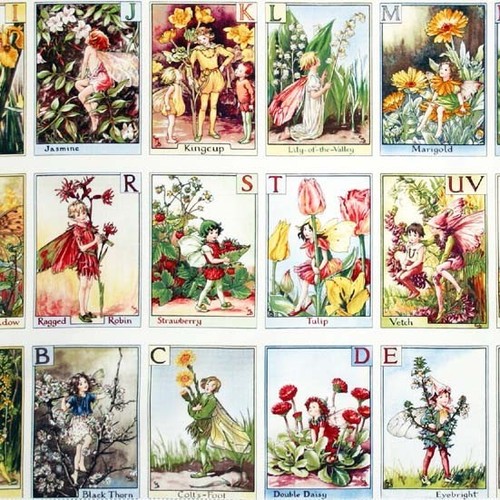 Alphabet flower fairies - alphabet, 100%