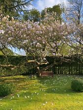 Antique Vintage Wooden Garden Bench Cast Iron Ends Slatted Wood Reclaimed