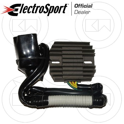 Electrosport voltage regulator - electrosport,
