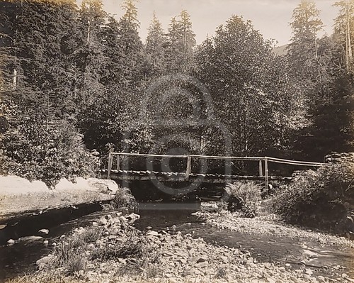 Rare photo stream - of,