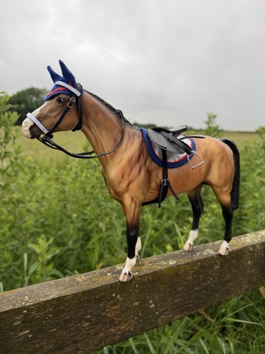Trakehner passport to - 🐴, 'passport