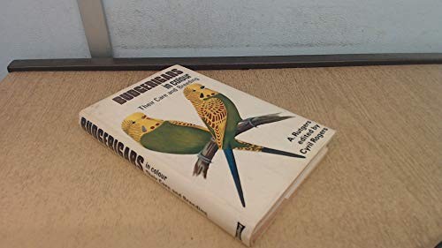 Budgerigars colour their - budgerigars, in