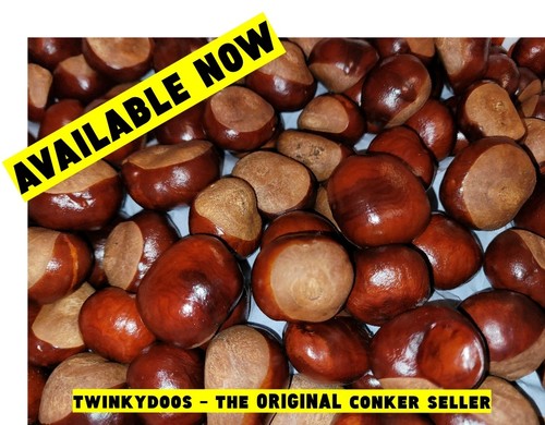 Large conkers horse - large,