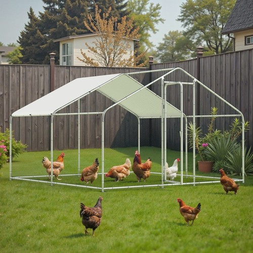Chicken coop for - chicken, chickens