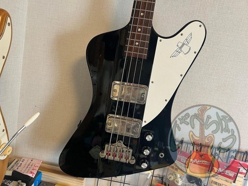 Orville gibson thunderbird - by,