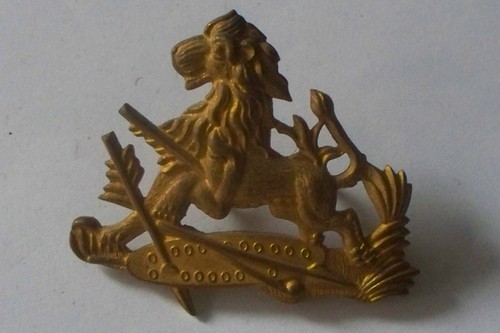 Rhodesia bsap helmet badge - bsap,