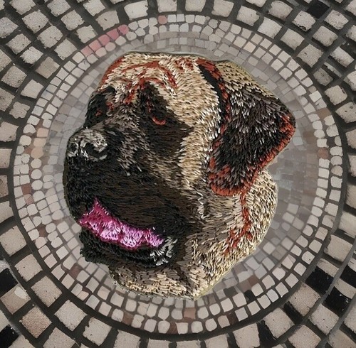 English mastiff dog patch - mastiff,