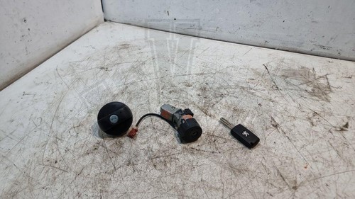 Peugeot ignition barrel switch - ignition,