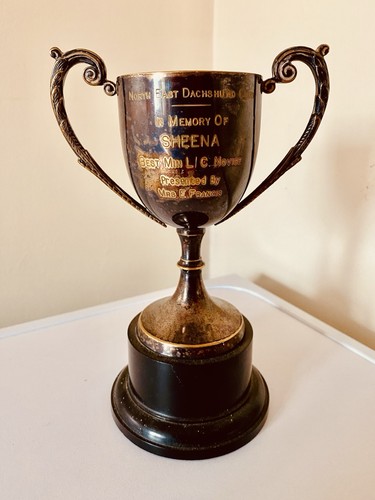 Silver trophy retro - silver,