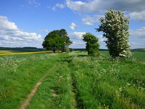Photo 6x4 track and - 6x4, farmland
