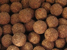 POP UPS 16MM SCOPEX POP UP CARP FISHING BAIT 
