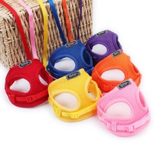 Tiny Dog Harness Lead Set