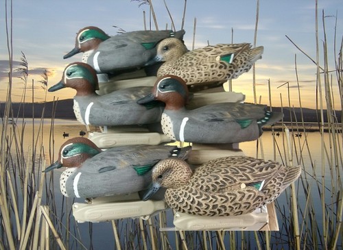 Duck decoys set - decoys,