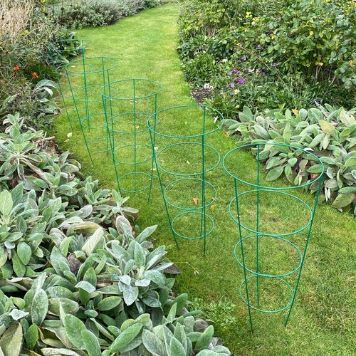 Metal conical garden - garden, plant