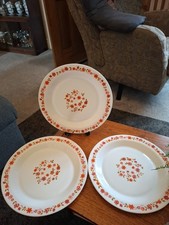 3 Vintage/Retro Arcopal Scania 10 Inch Dinner Plates / France