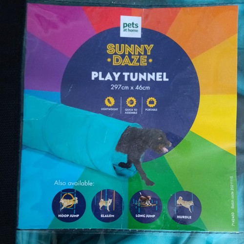 Pet dog agility - dog,