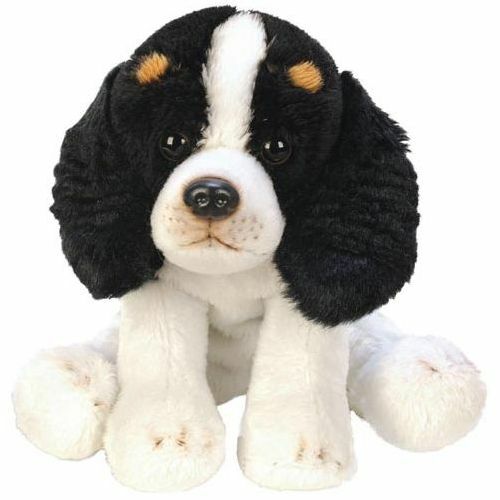 Sitting king charles - king,