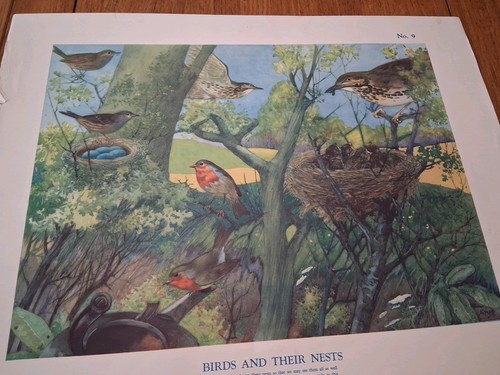 Macmillan vintage educational - vintage,