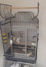 Budgie Cage Large Metal Bird Cage for Parrots, Canaries