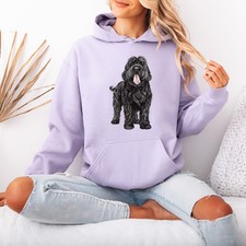 Black Russian Terrier Dog