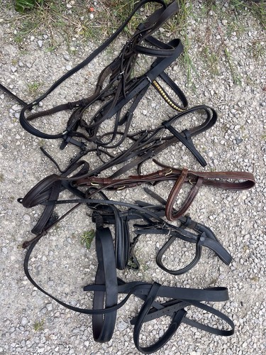 Bridles john whitaker hbf and - bridles,