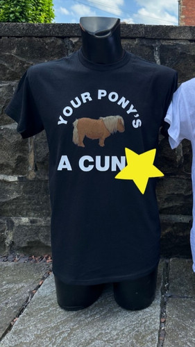 Your pony cun - pony, cun*