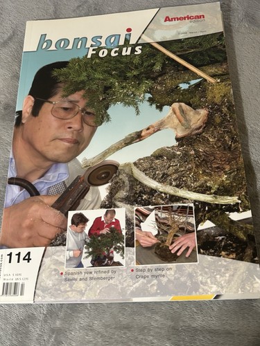 Bonsai focus american - focus,