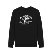 PREMIUM OFFICIAL Park Fields