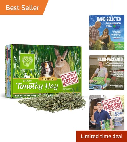 High quality 1st cutting - high-quality,