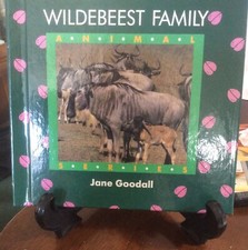 Wildebeest Family [Animal