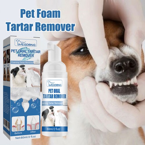 Pet dental tartar - pet,