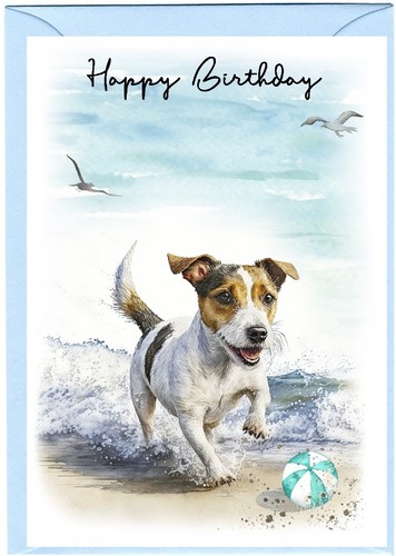 Jack russell terrier dog - russell,