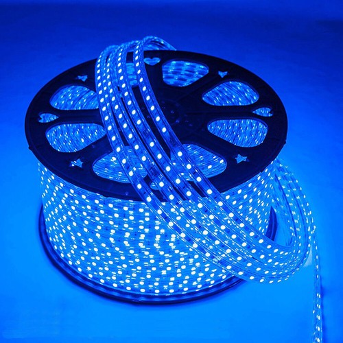 Blue led strip 220v - blue, 240v