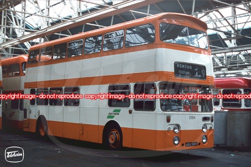 Bus photo selnec southern - photo,