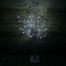 Choice of Size - Indoor