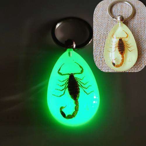 Rare real crab glow - crab,