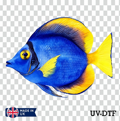 Blue tang fish dtf sticker - blue,
