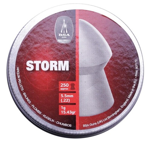 Bsa storm pointed - .22,
